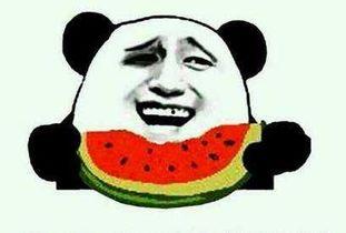 吃货吃瓜了,畅游美食与娱乐的欢乐世界