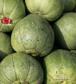 如何正确快速吃瓜