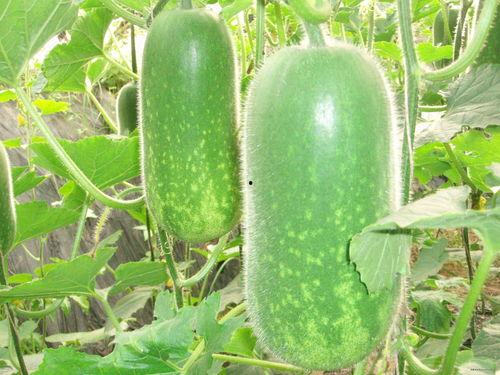 佐呆呆吃瓜,揭秘娱乐圈那些不为人知的幕后故事