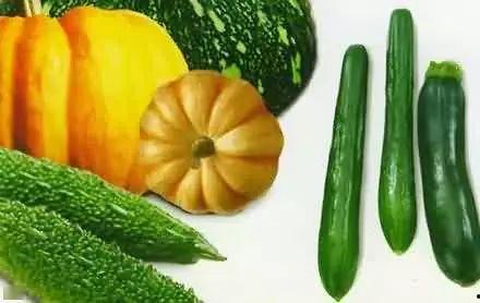 海宁郭店吃瓜,瓜香四溢，品味夏日清凉时光