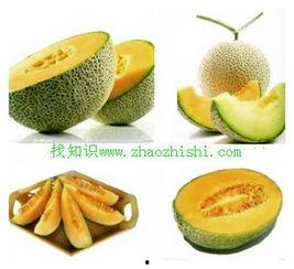 吃哈密瓜也复发胃炎,胃炎复发需警惕