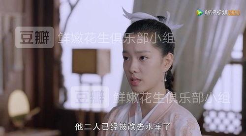 闰土吃瓜网站,揭秘网络红人背后的故事与现象