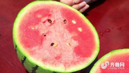 聊城市吃瓜,探寻这座城市的甜蜜生活