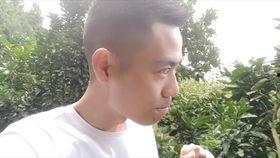 田里吃瓜的狗,犬戏瓜间